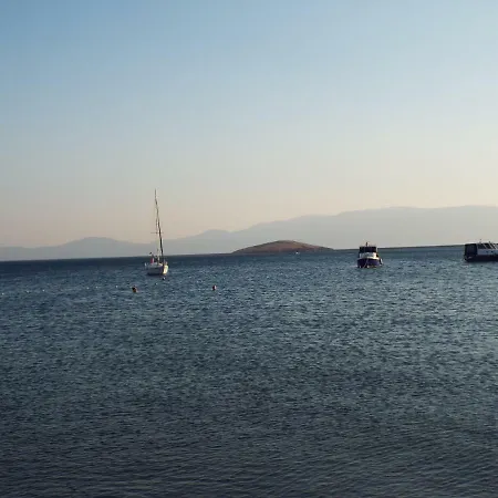 Monk Island 2*